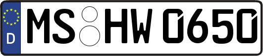 MS-HW0650