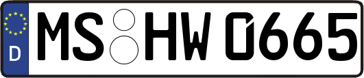 MS-HW0665