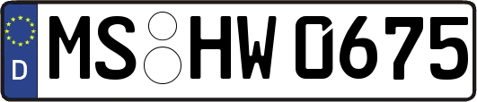 MS-HW0675