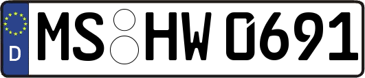 MS-HW0691