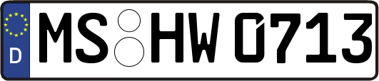 MS-HW0713