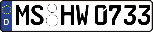 MS-HW0733