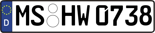 MS-HW0738