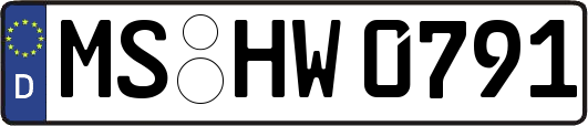 MS-HW0791
