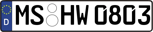 MS-HW0803
