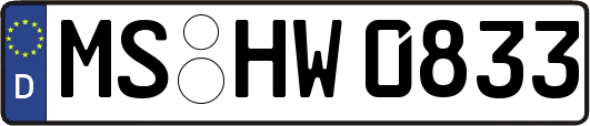 MS-HW0833