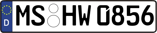 MS-HW0856