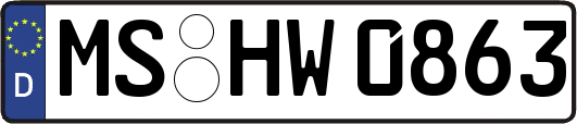 MS-HW0863
