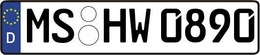 MS-HW0890