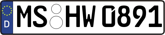 MS-HW0891