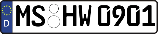 MS-HW0901
