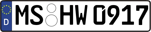 MS-HW0917