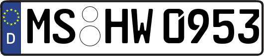 MS-HW0953