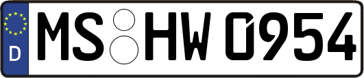 MS-HW0954