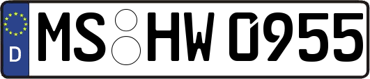 MS-HW0955