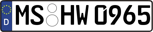 MS-HW0965