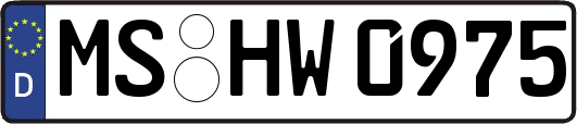 MS-HW0975