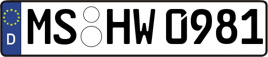 MS-HW0981