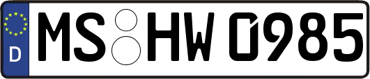 MS-HW0985
