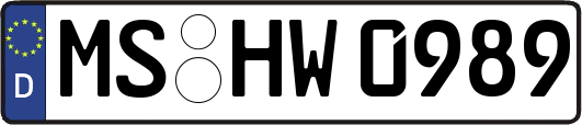 MS-HW0989