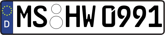 MS-HW0991