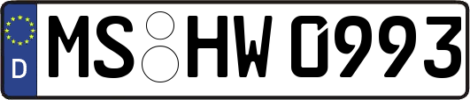 MS-HW0993