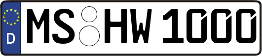 MS-HW1000