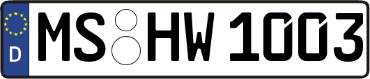 MS-HW1003