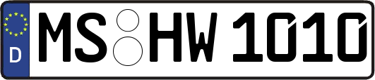 MS-HW1010