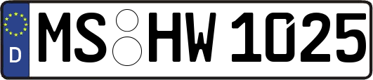 MS-HW1025
