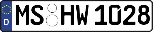 MS-HW1028