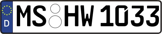 MS-HW1033