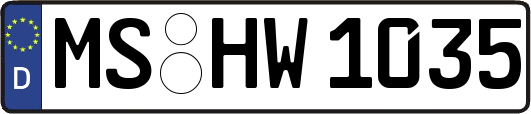 MS-HW1035