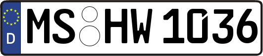 MS-HW1036