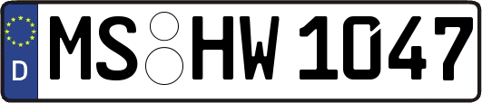 MS-HW1047