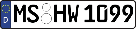 MS-HW1099