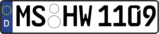 MS-HW1109