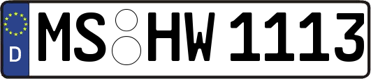 MS-HW1113