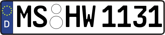 MS-HW1131