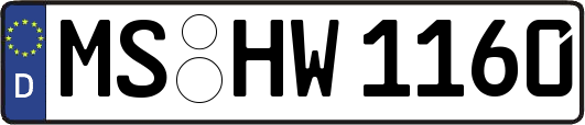 MS-HW1160