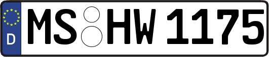 MS-HW1175