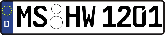 MS-HW1201
