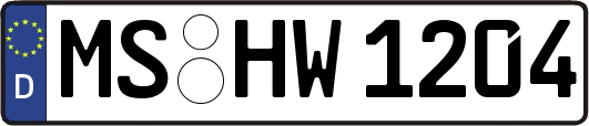 MS-HW1204
