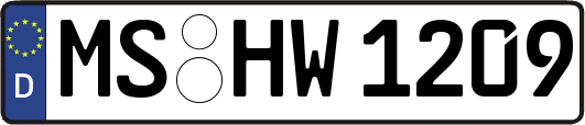 MS-HW1209