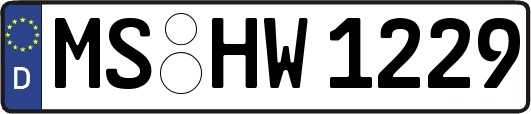 MS-HW1229