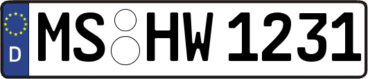 MS-HW1231