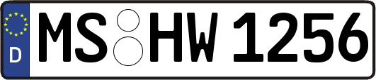 MS-HW1256