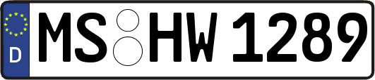 MS-HW1289