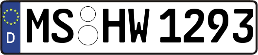 MS-HW1293
