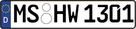 MS-HW1301